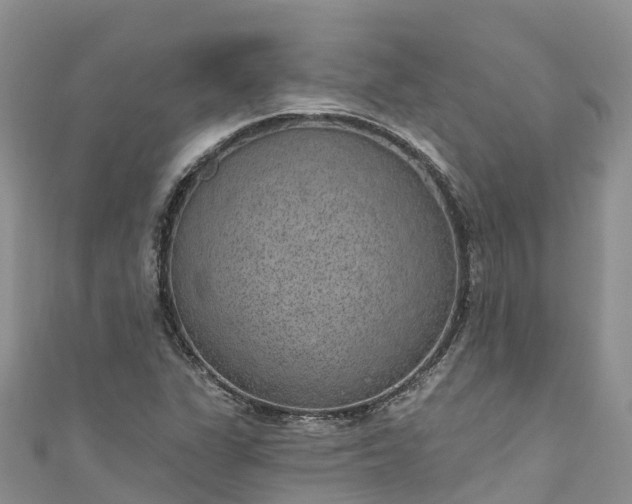 X0000110961311200906261333