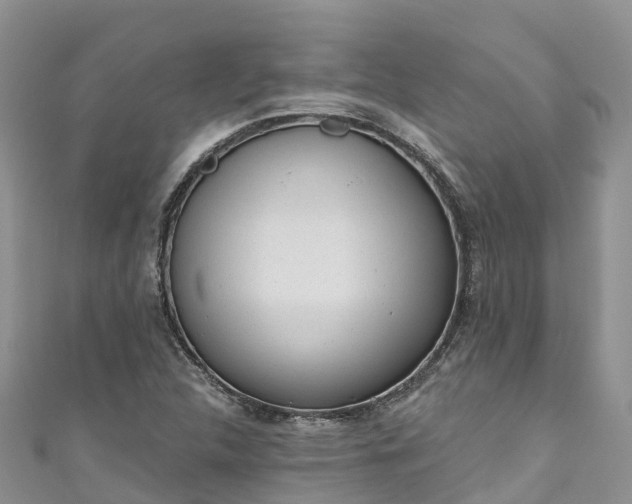 X0000110961312200906261333