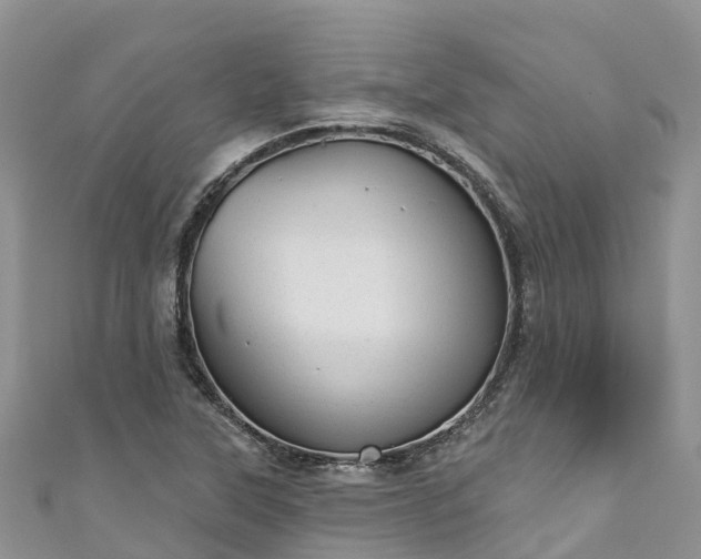 X0000110961315200906261333