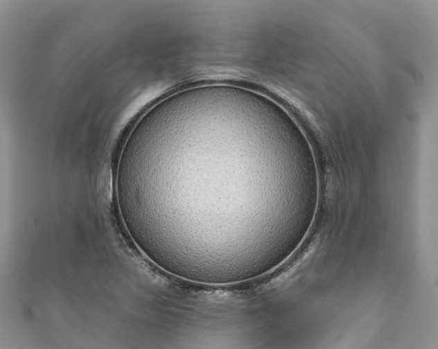 X0000110961317200906261333