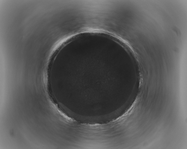 X0000110961319200906261333