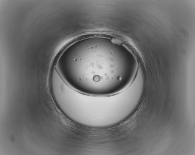 X0000110961320200906261333