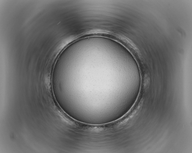 X0000110961321200906261333
