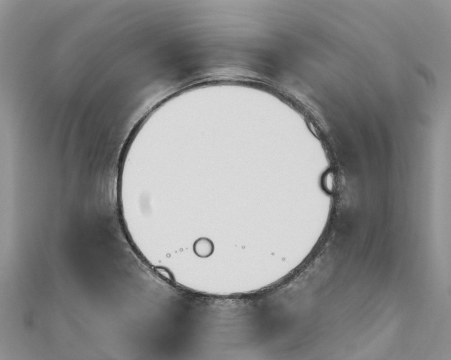 X0000110961322200906261333