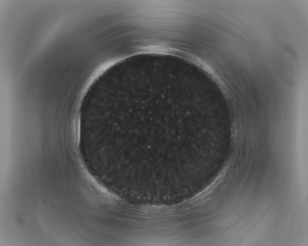 X0000110961323200906261333