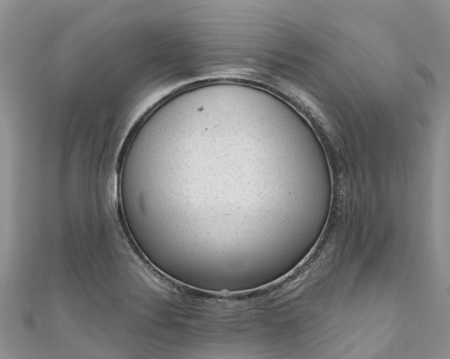X0000110961324200906261333