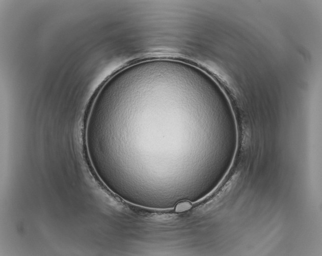 X0000110961325200906261333