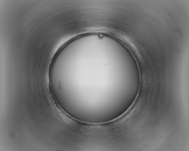 X0000110961328200906261333