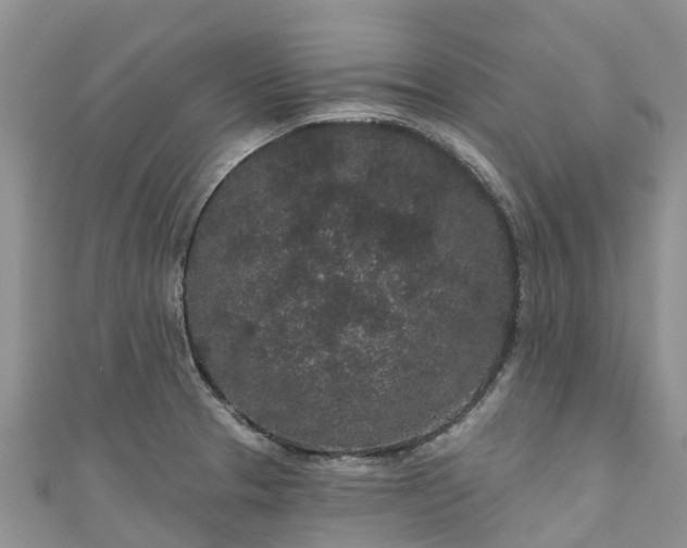 X0000110961329200906261333