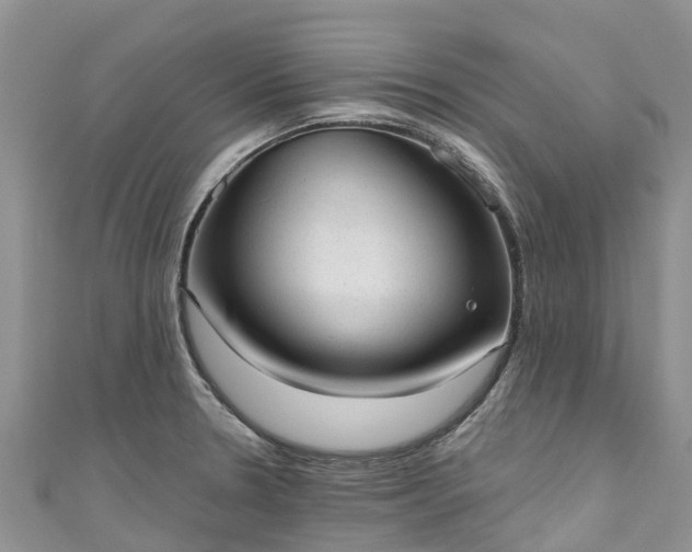X0000110961330200906261333