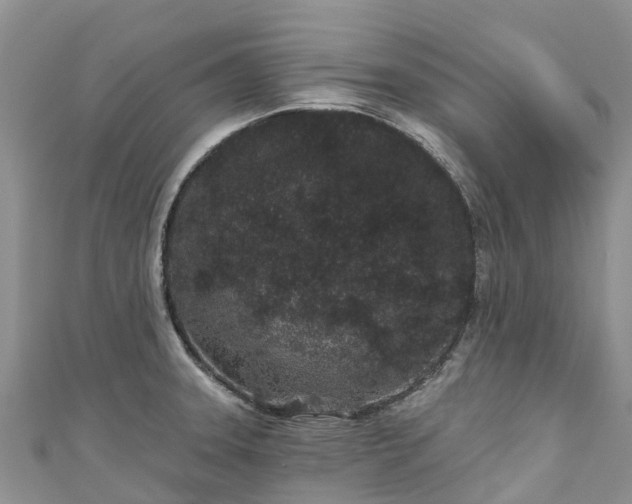 X0000110961331200906261333