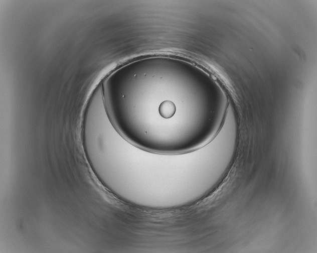 X0000110961332200906261333