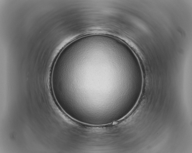 X0000110961333200906261333