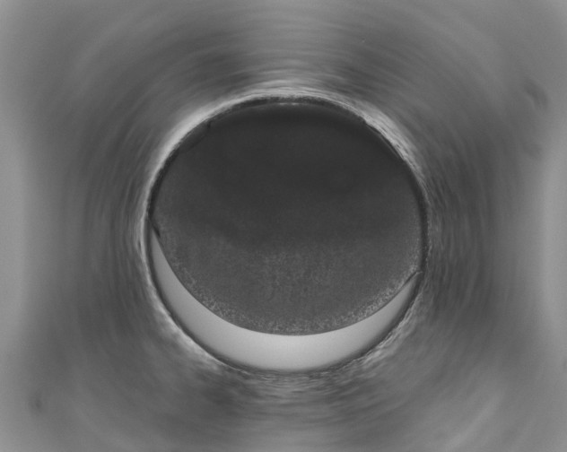 X0000110961334200906261333