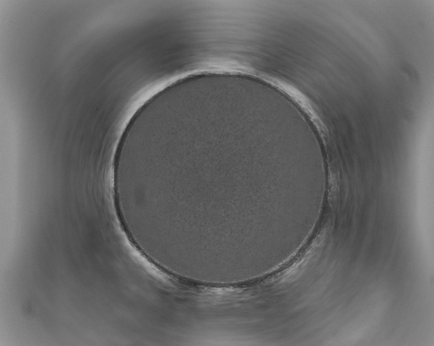X0000110961335200906261333