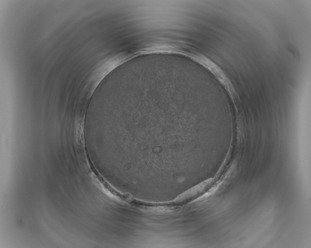 X0000110961337200906261333