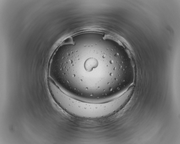 X0000110961338200906261333