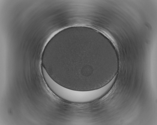 X0000110961340200906261333