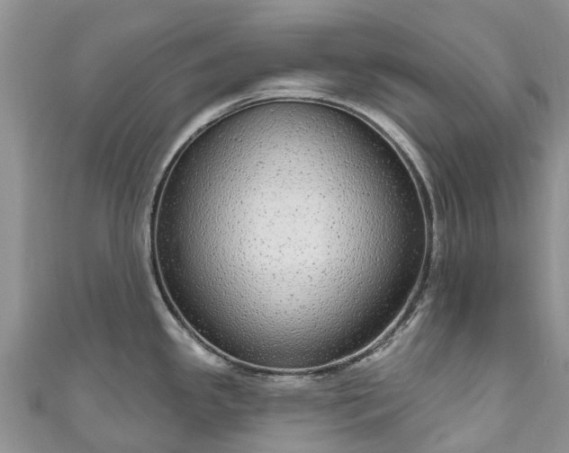X0000110961341200906261333