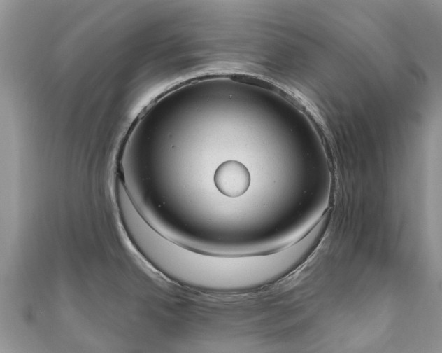 X0000110961342200906261333