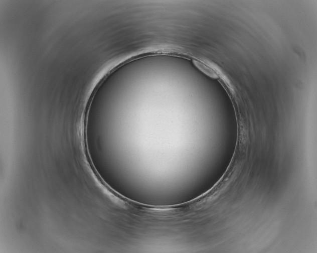 X0000110961343200906261334