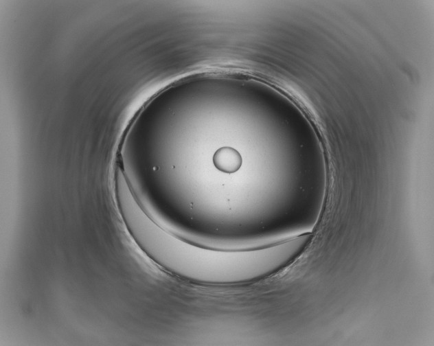 X0000110961344200906261334