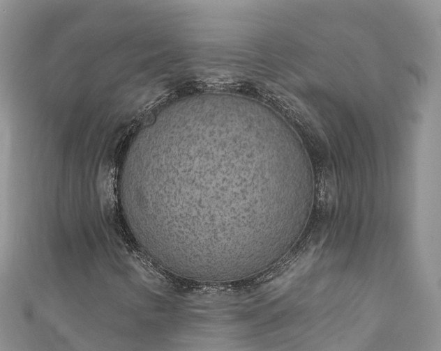 X0000110961346200906261333