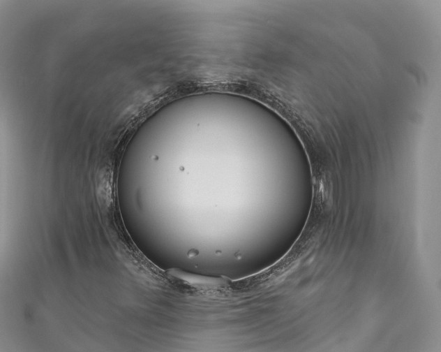 X0000110961348200906261333