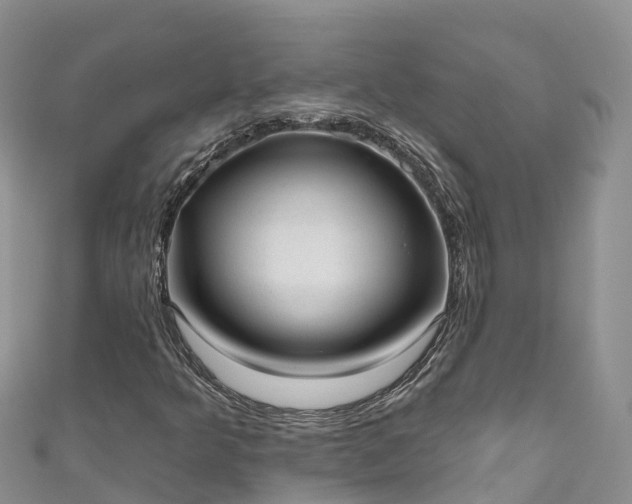 X0000110961349200906261333