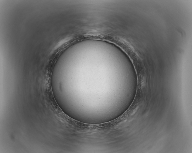 X0000110961350200906261333