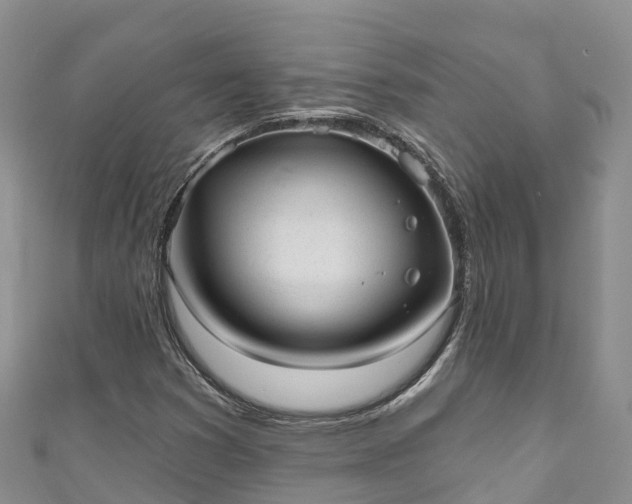 X0000110961353200906261333