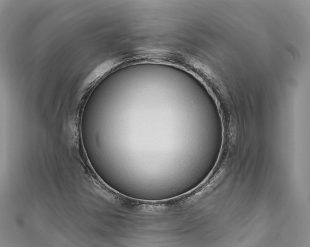 X0000110961354200906261333