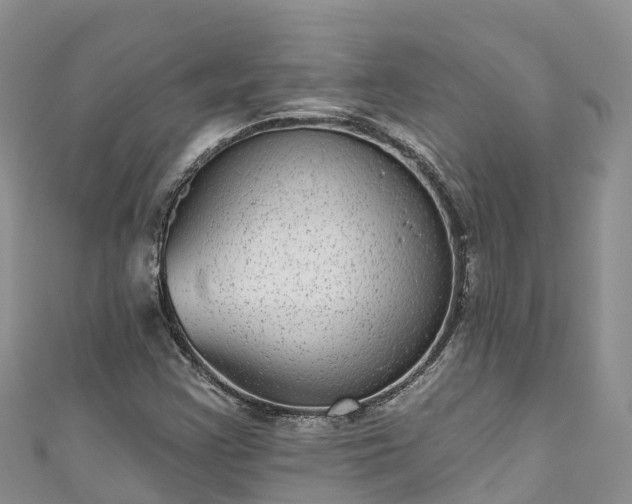 X0000110961355200906261333