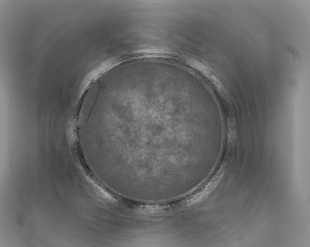X0000110961357200906261333