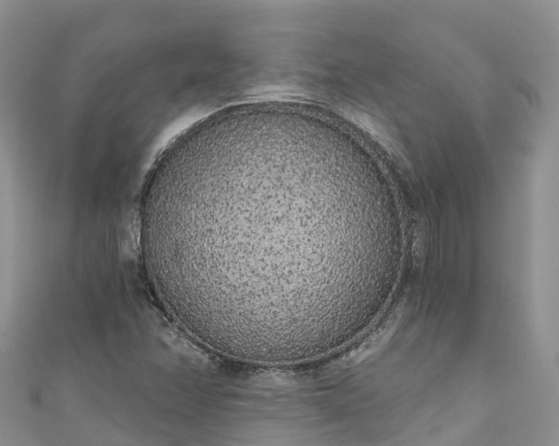 X0000110961358200906261333