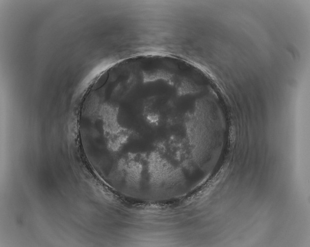 X0000110961359200906261333