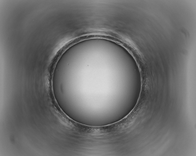 X0000110961360200906261333