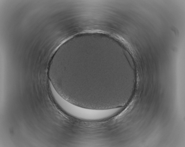 X0000110961361200906261333