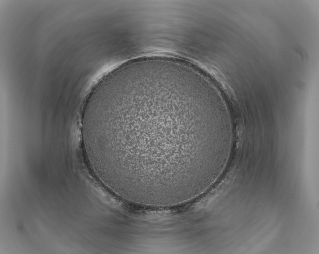 X0000110961363200906261333