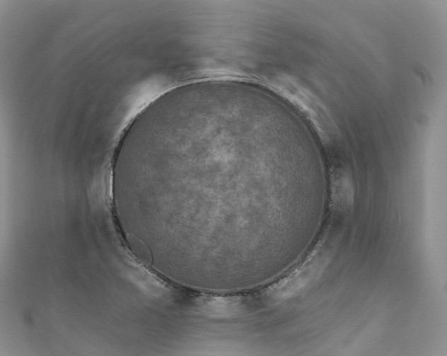 X0000110961365200906261332