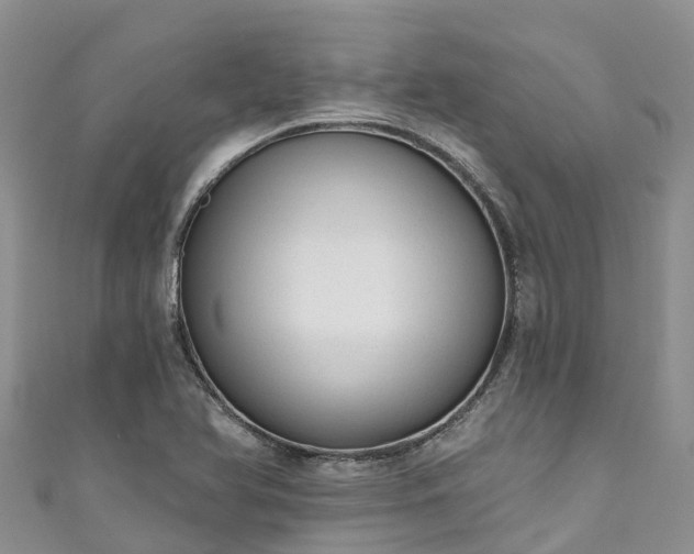 X0000110961366200906261332