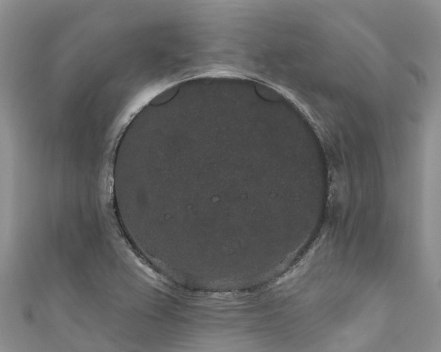X0000110961367200906261332