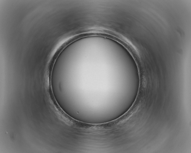 X0000110961368200906261332