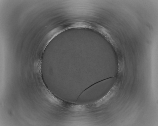 X0000110961369200906261332