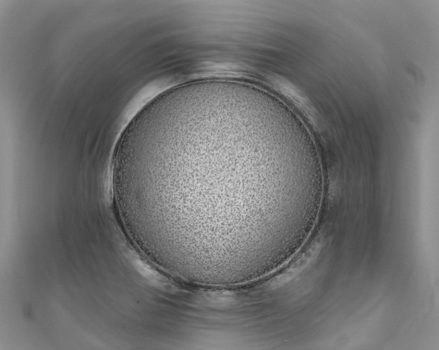 X0000110961370200906261332