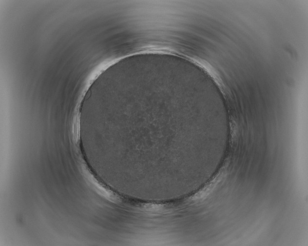 X0000110961371200906261332