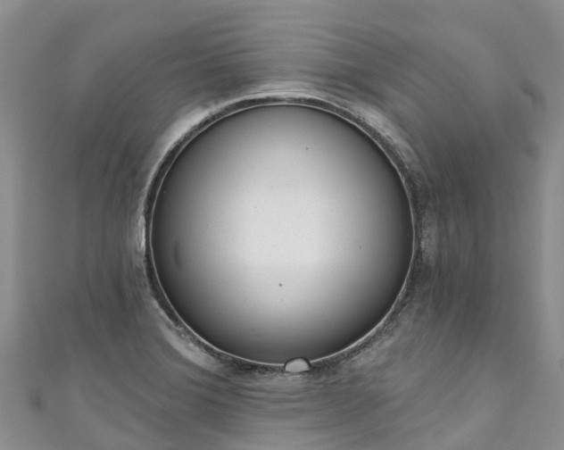 X0000110961372200906261332