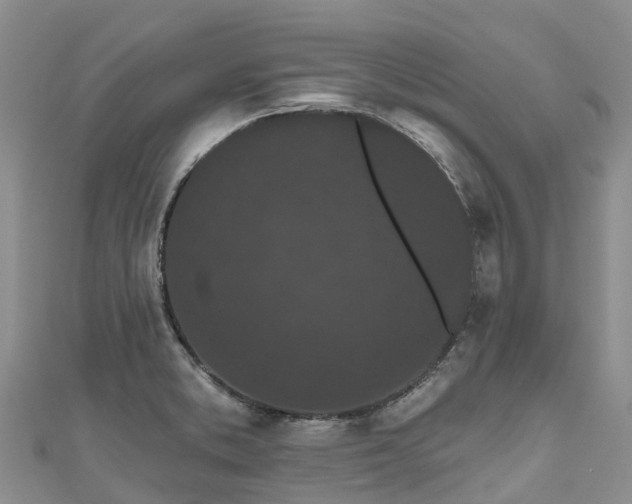 X0000110961373200906261332