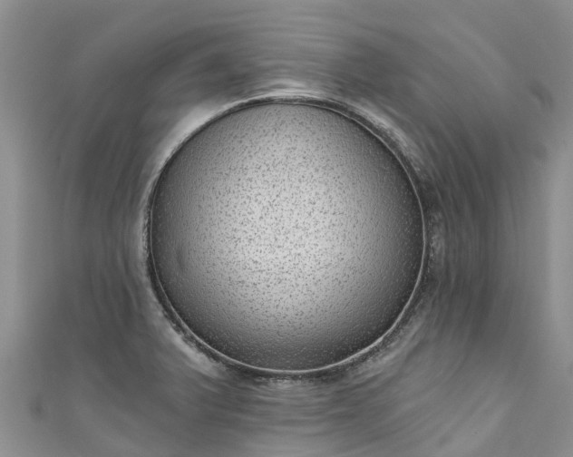 X0000110961375200906261332