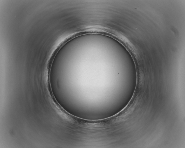X0000110961376200906261332